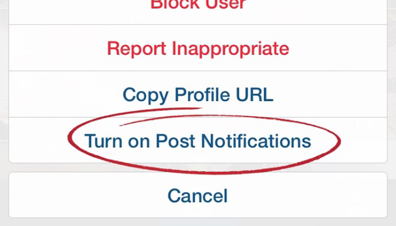 Instagram Turn On Notifications