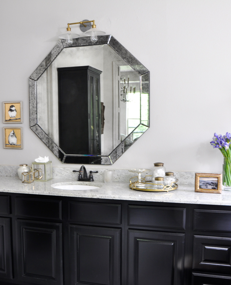 Bathroom with Black Cabinets and Stylish Accesories