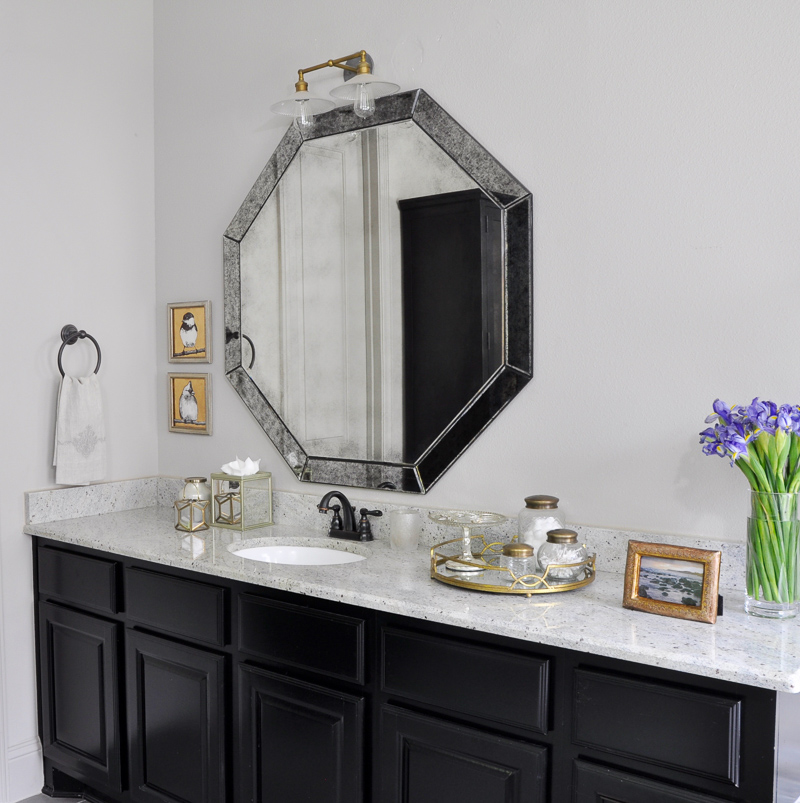 Master Bathroom with Black Cabinets and Beautiful Accesories