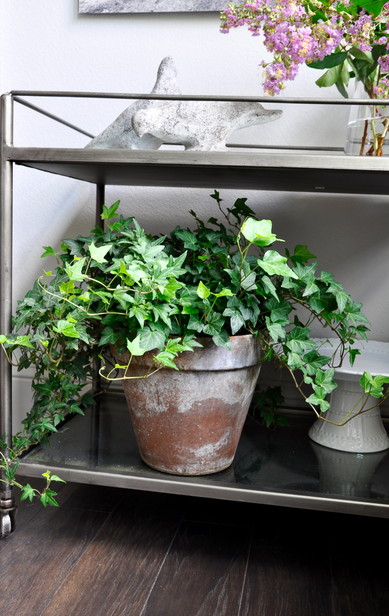 Beautiful Summer Bar Cart Styled with Ivy and Flowers