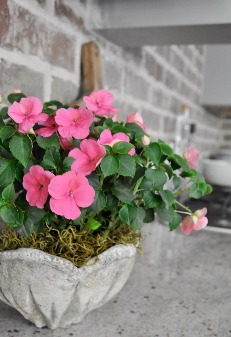 Summer Home Tour Pink Potted Flowers in Kitchen with Brick Backsplash_