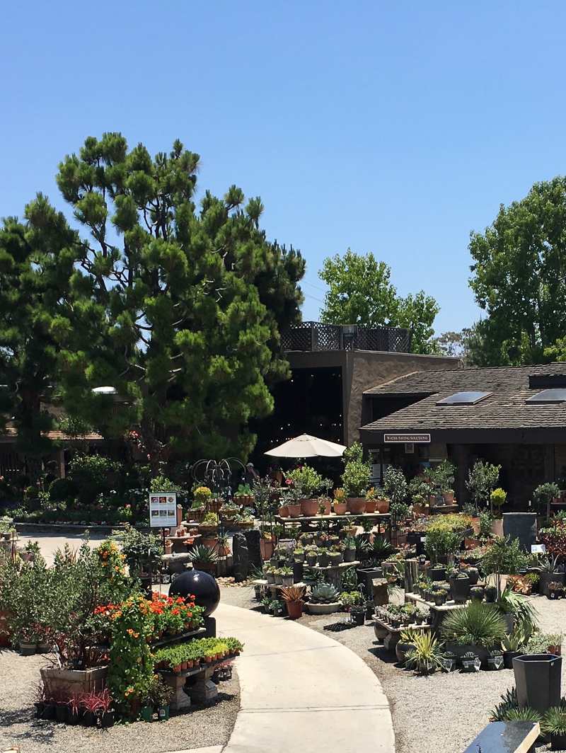 Beautiful lush grounds at rogers gardens in newport beach california