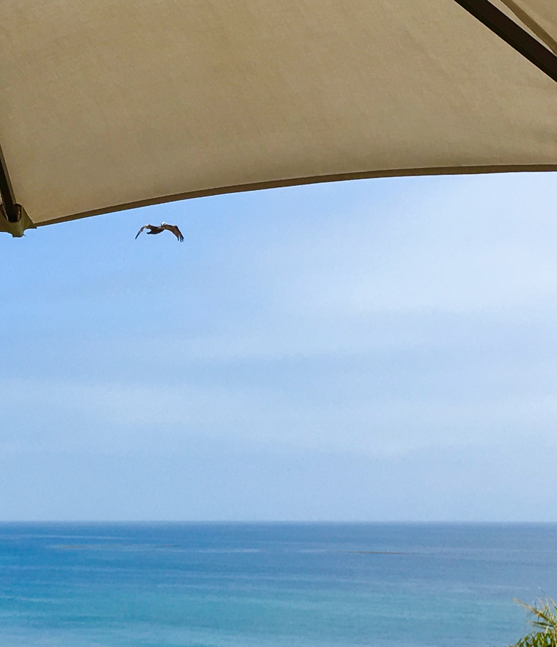 Geoffrey's Malibu California Favorite Lunch Spot Ocean View-2