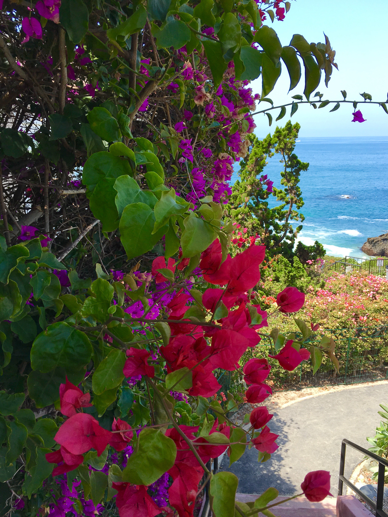 Steps down to gorgeous Laguna Beach cove_