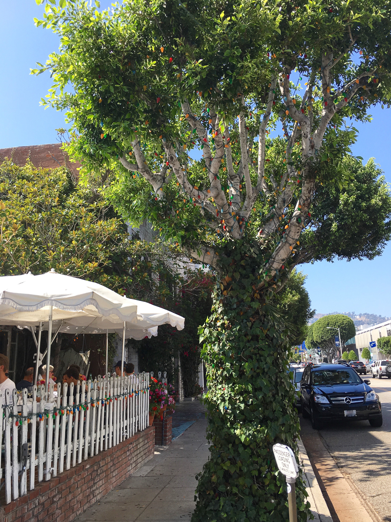 The Ivy Los Angeles Exterior View of Patio