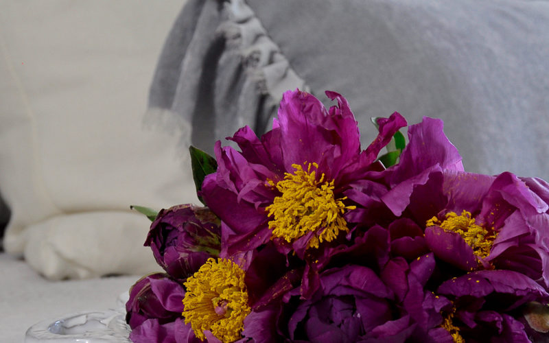 Purple peonies on gray and white bedding