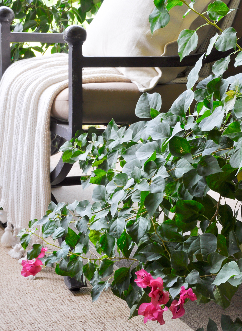 early-fall-patio-with-beautiful-potted-plants_