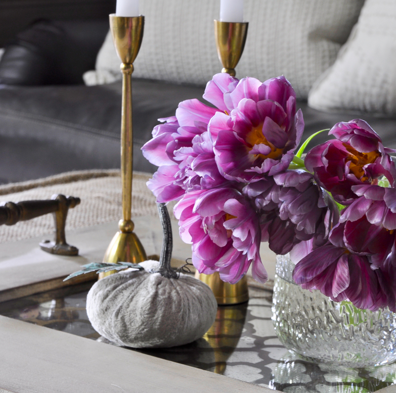 beautiful-fall-coffee-table-vignette-on-mirrored-tray_