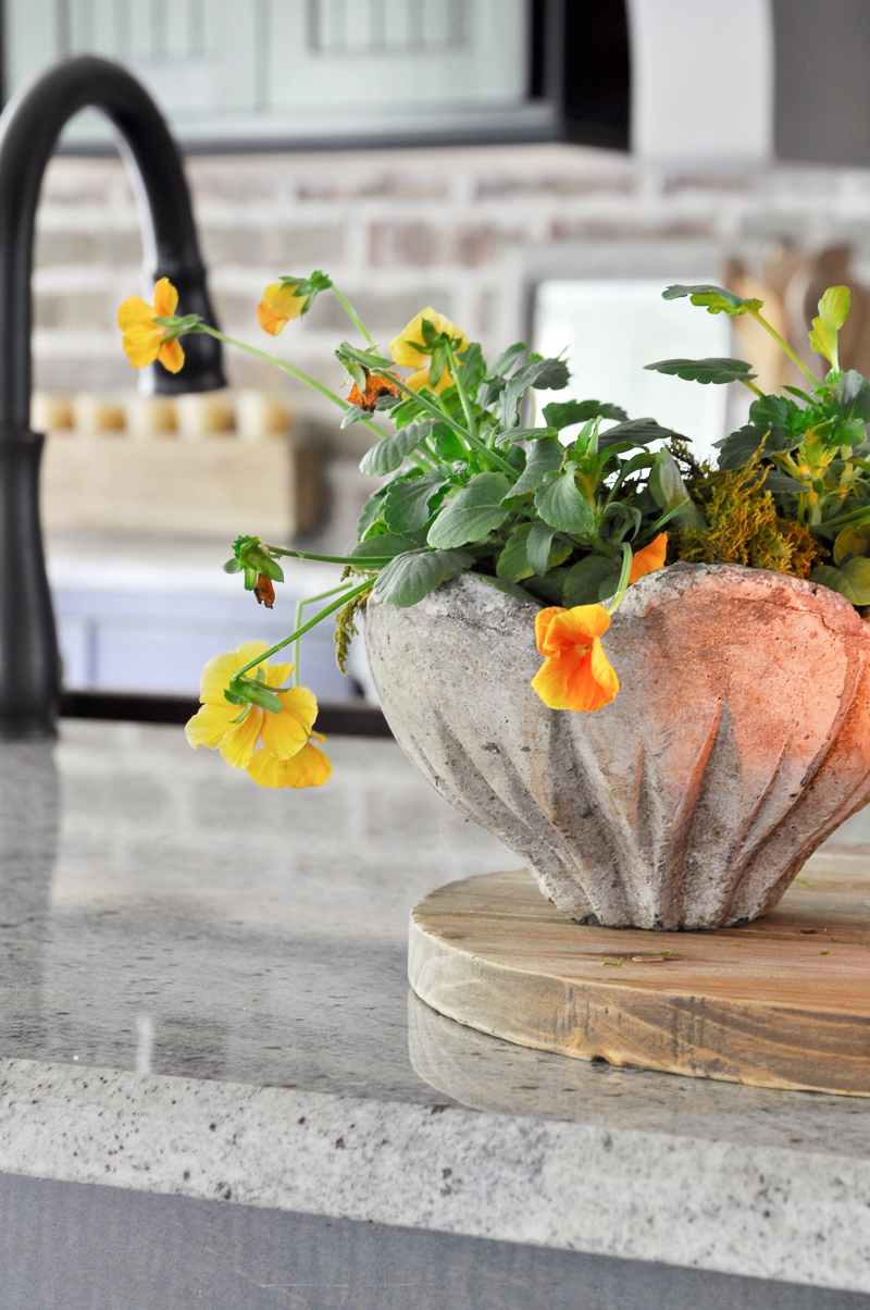 pansies-in-a-pretty-pot-for-fall-decorating