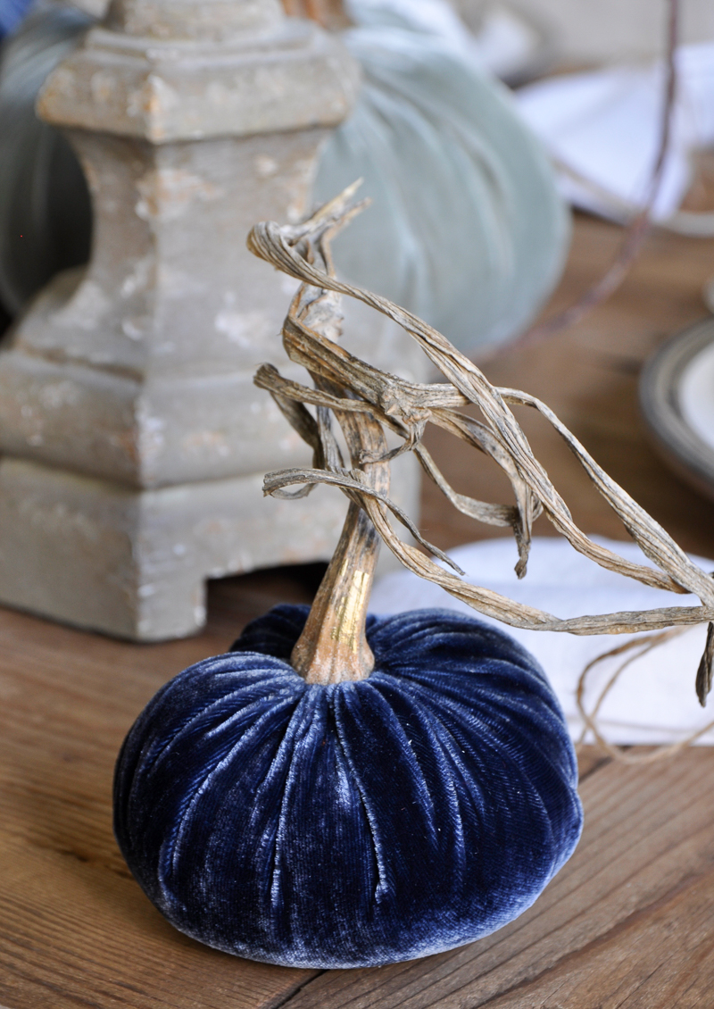 beautiful-blue-velvet-pumpkin