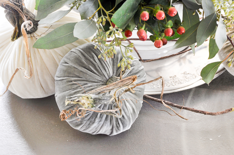 beautiful-neutral-velvet-pumpkins_