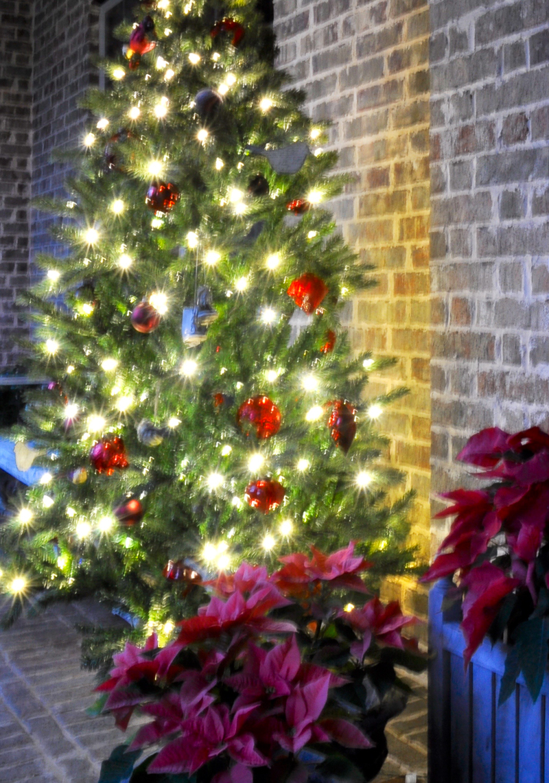 christmas-tree-porch-decoration_