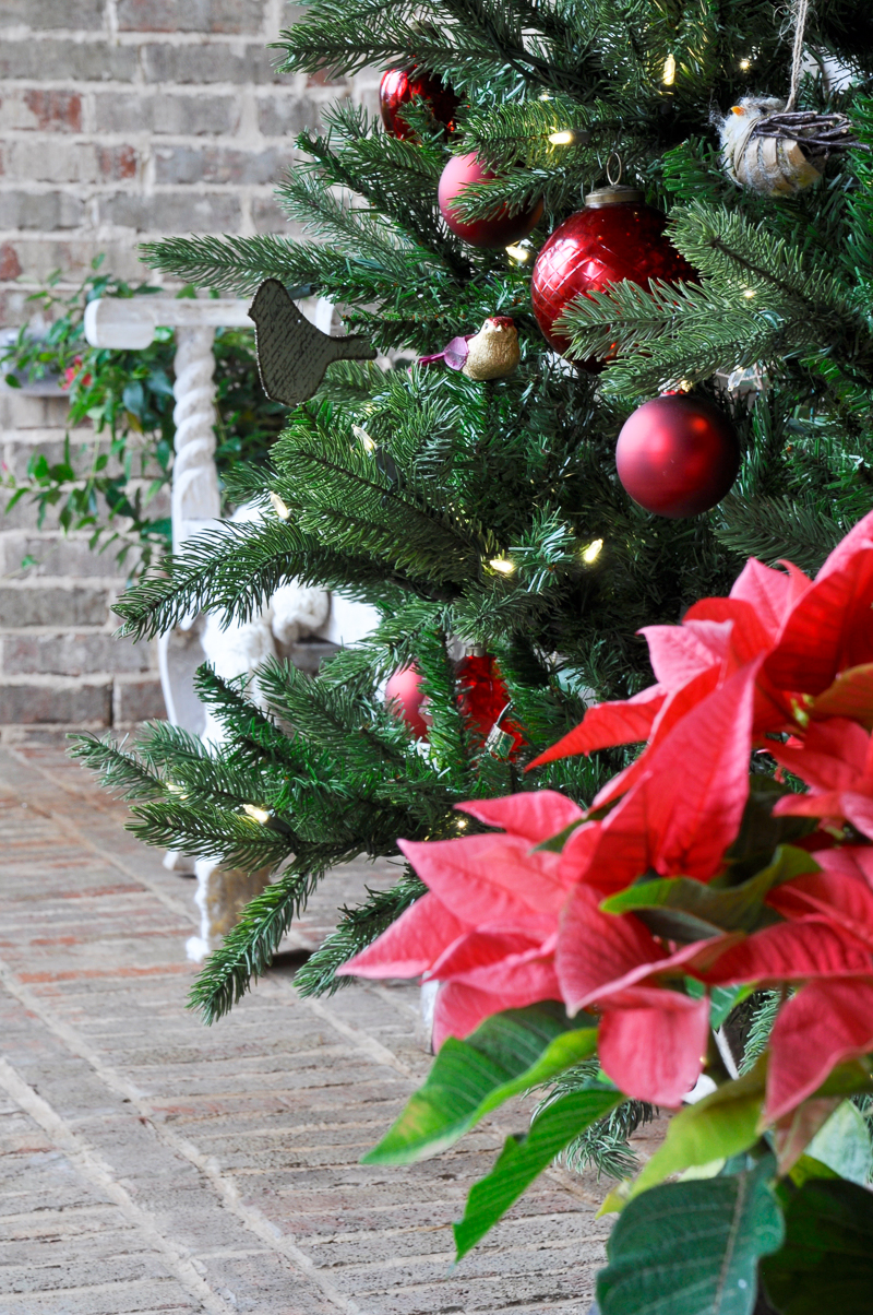 poinsettia-and-tree-on-christmas-porch