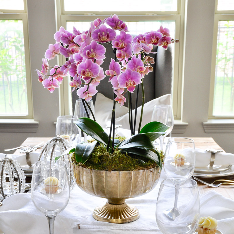 orchid arrangement centerpiece 