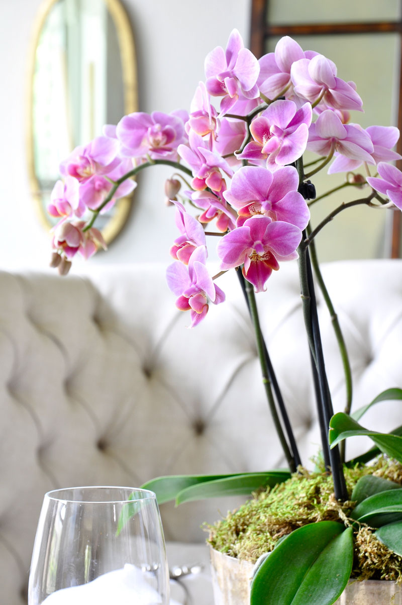 beautiful orchid arrangement on easter table