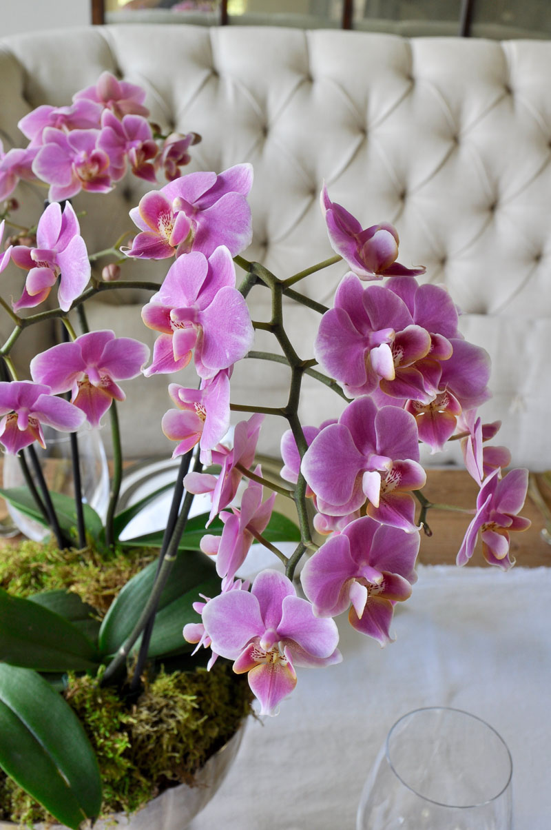 beautiful orchid arrangement how to