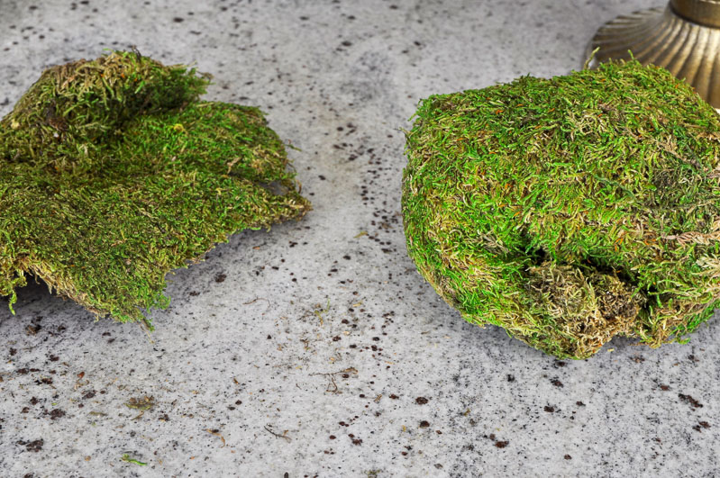 moss for arrangement