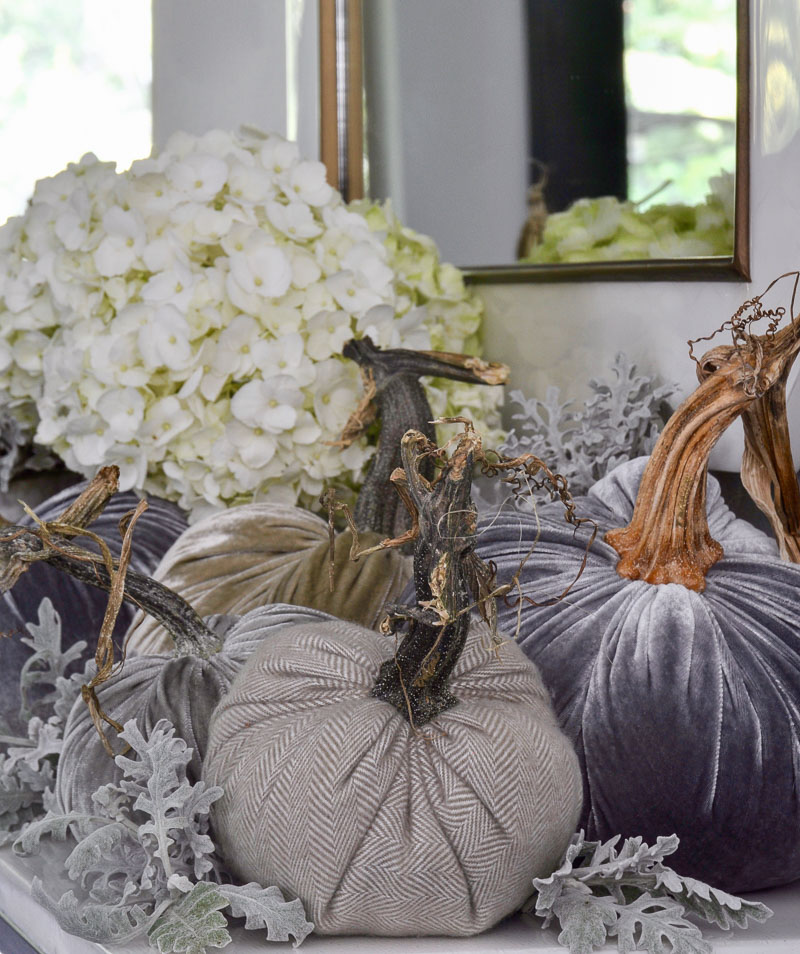 fall home with beautiful velvet pumpkins