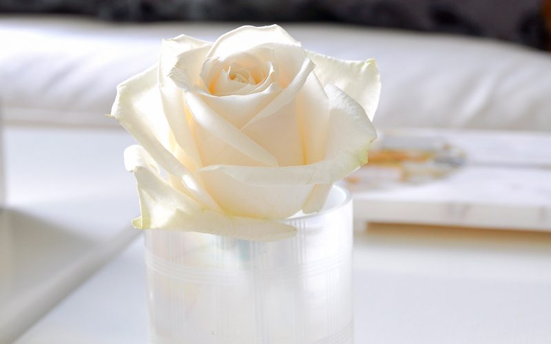 rose arranging tips and tricks