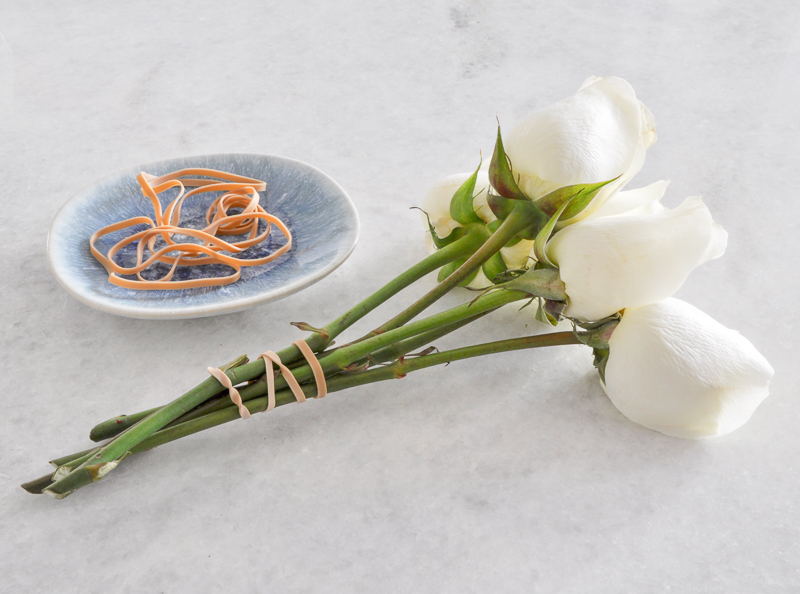 roses gathered in rubber bands