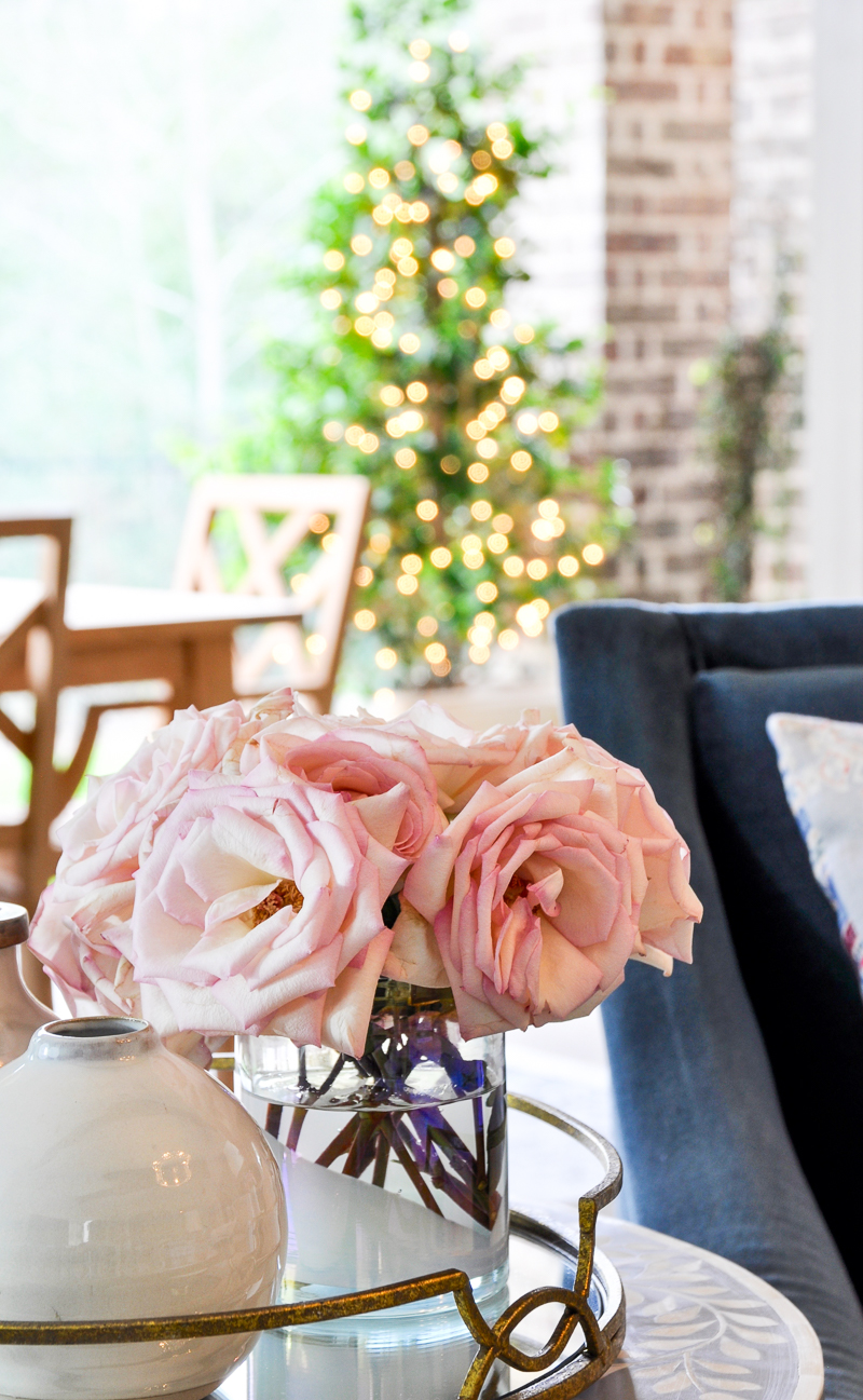 beautiful patio view from living room