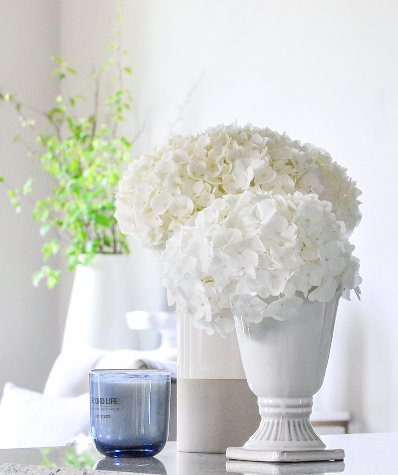 hydrangeas in white vases