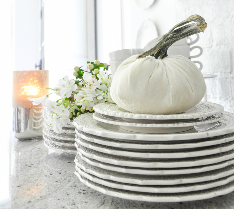 Kitchen dinnerware white velvet pumpkin