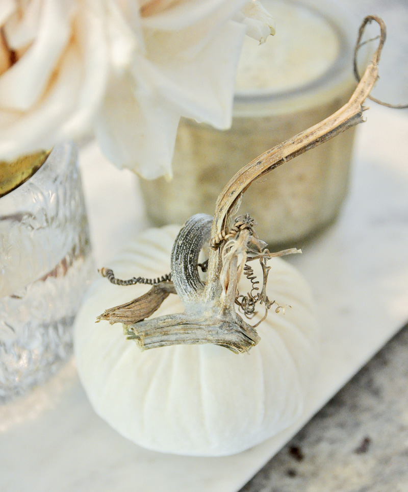 Velvet pumpkin real stems 