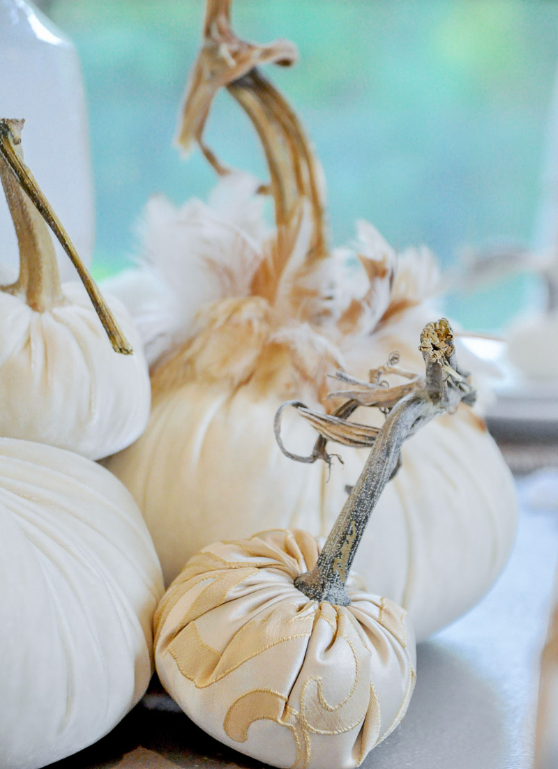 Decorative pumpkins all neutrals