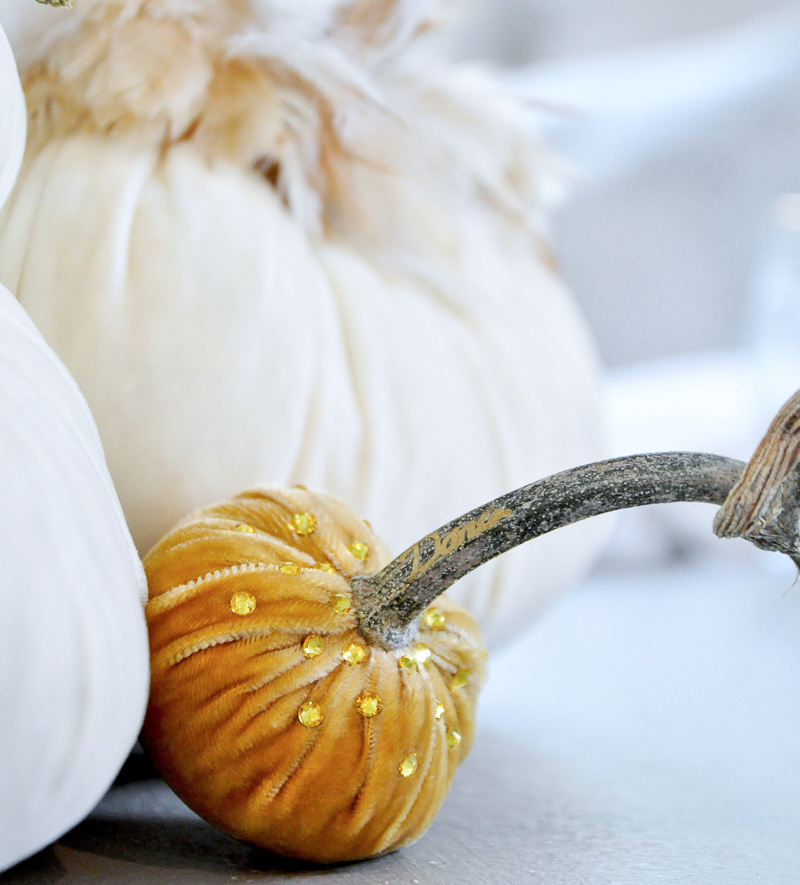 Decorative pumpkins traditional fall orange colored velvet