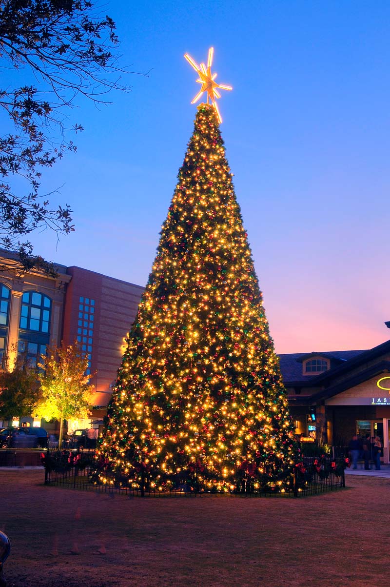 woodlands market street holiday tree