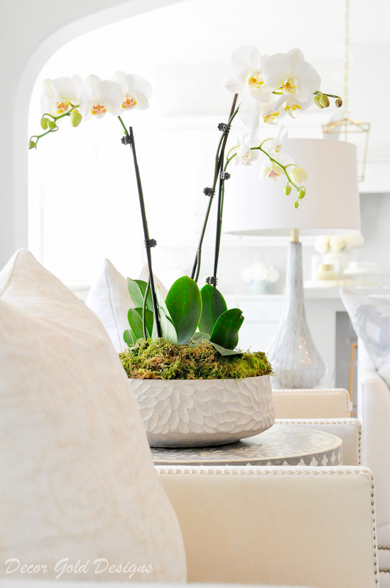 Beautiful orchid arrangement low planter