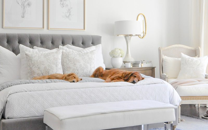 bedroom gray white bedding dogs