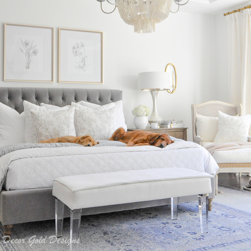 bedroom gray white bedding dogs