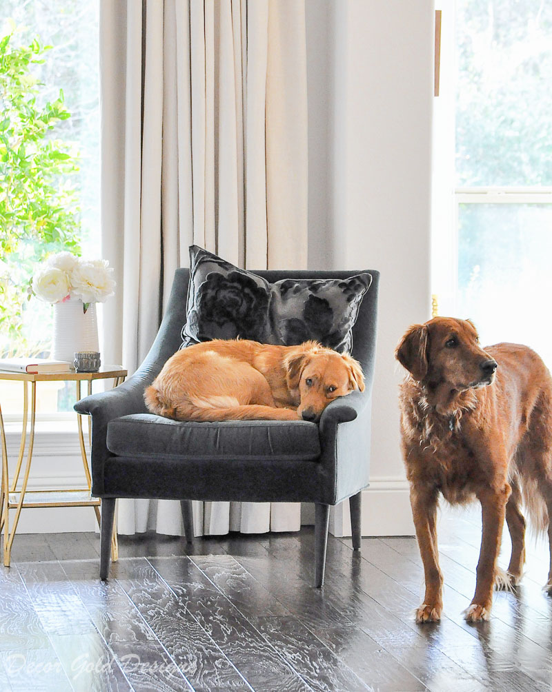 Elegant home with velvet furniture and pets