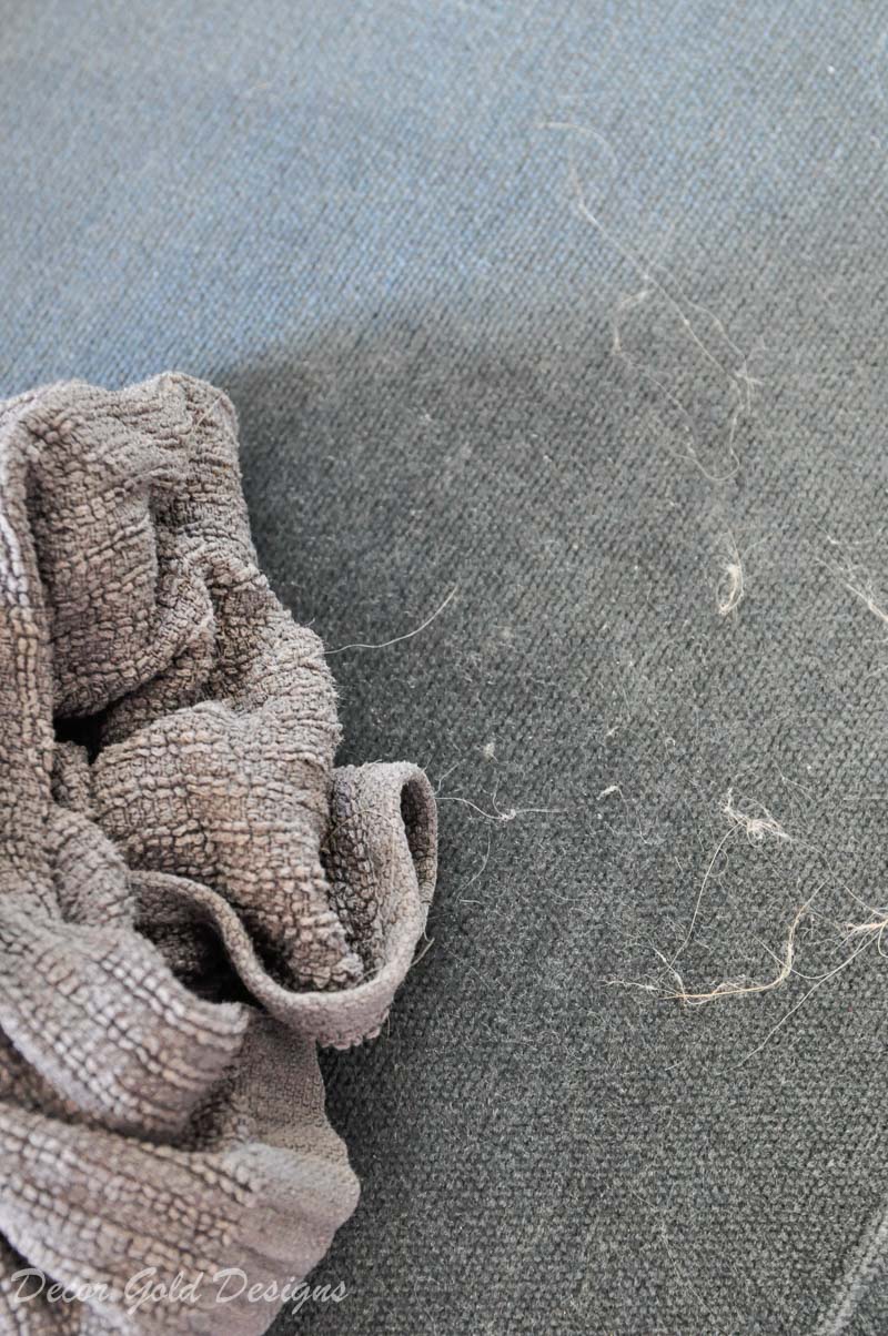 home pets beautiful velvet furniture pet hair cleaning tips 