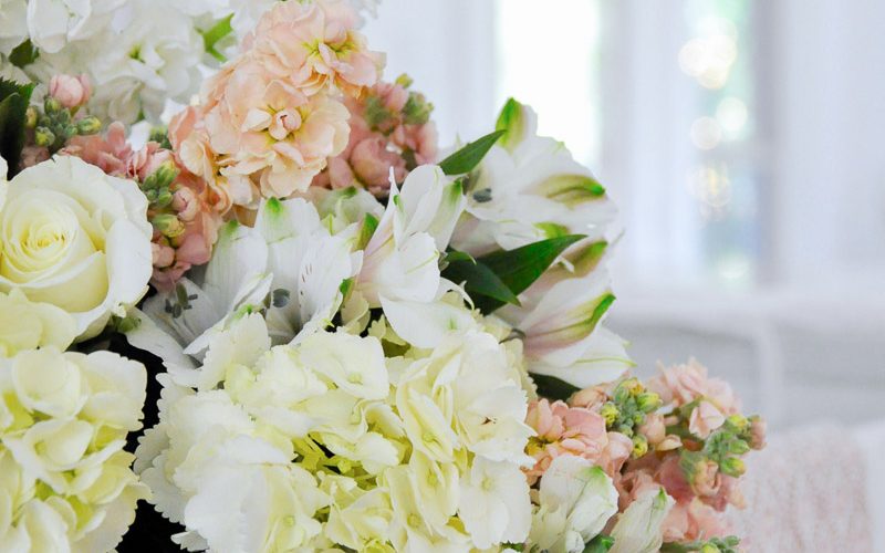 Mother's Day Gift Guide