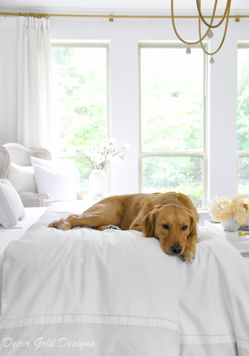 Bedding tips beautiful white bed golden retriever