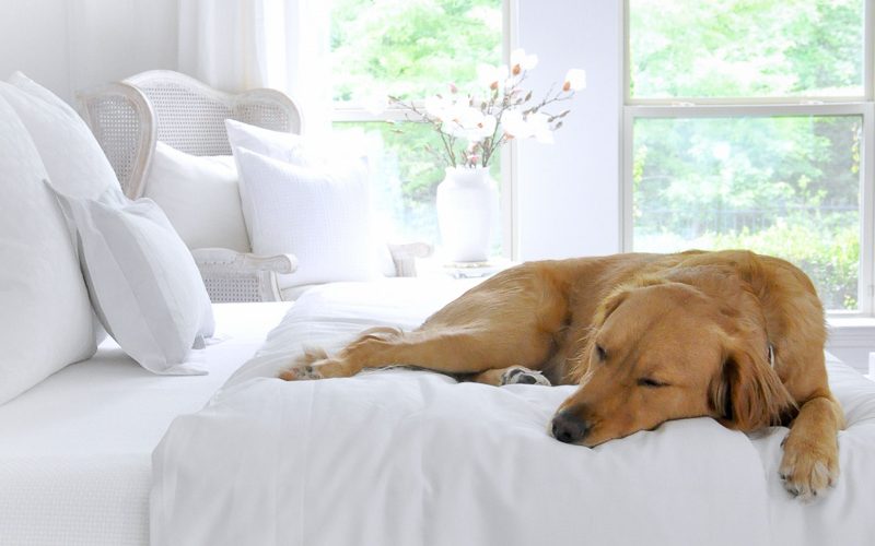 Bedding tips beautiful bed