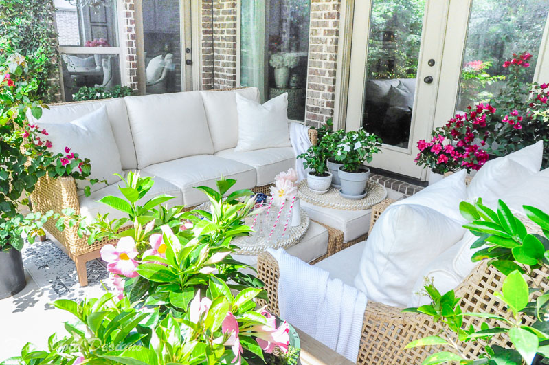 Summer patio reveal beautiful furniture flowering plants