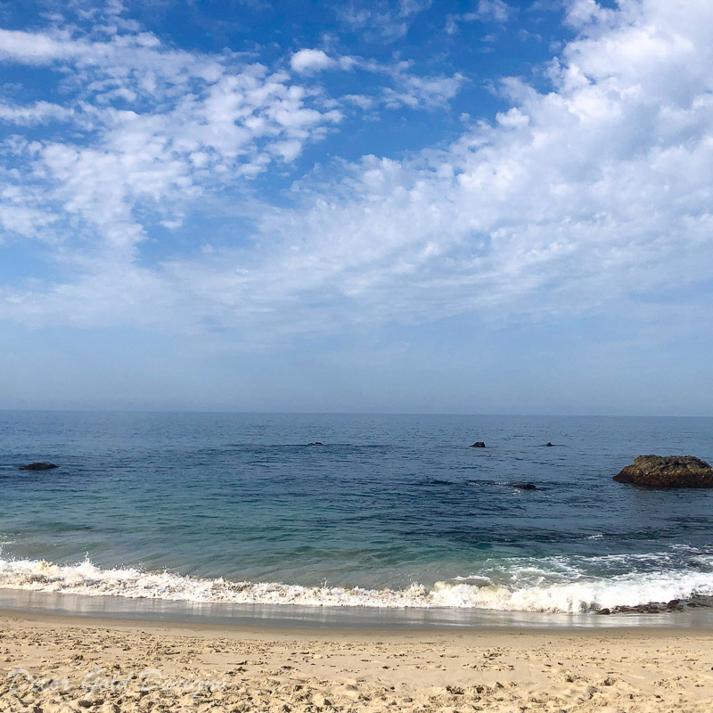 Laguna Beach Travel Guide