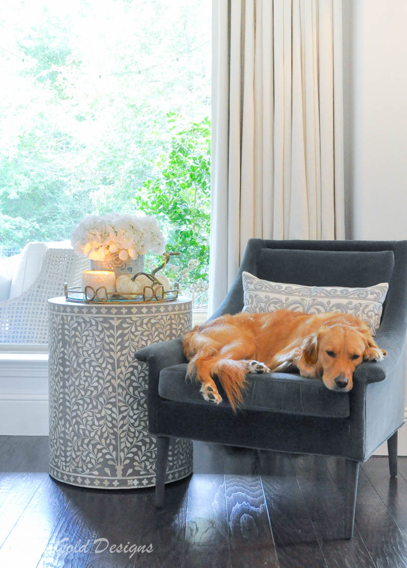 Sophisticated fall home tour white pumpkins golden retriever