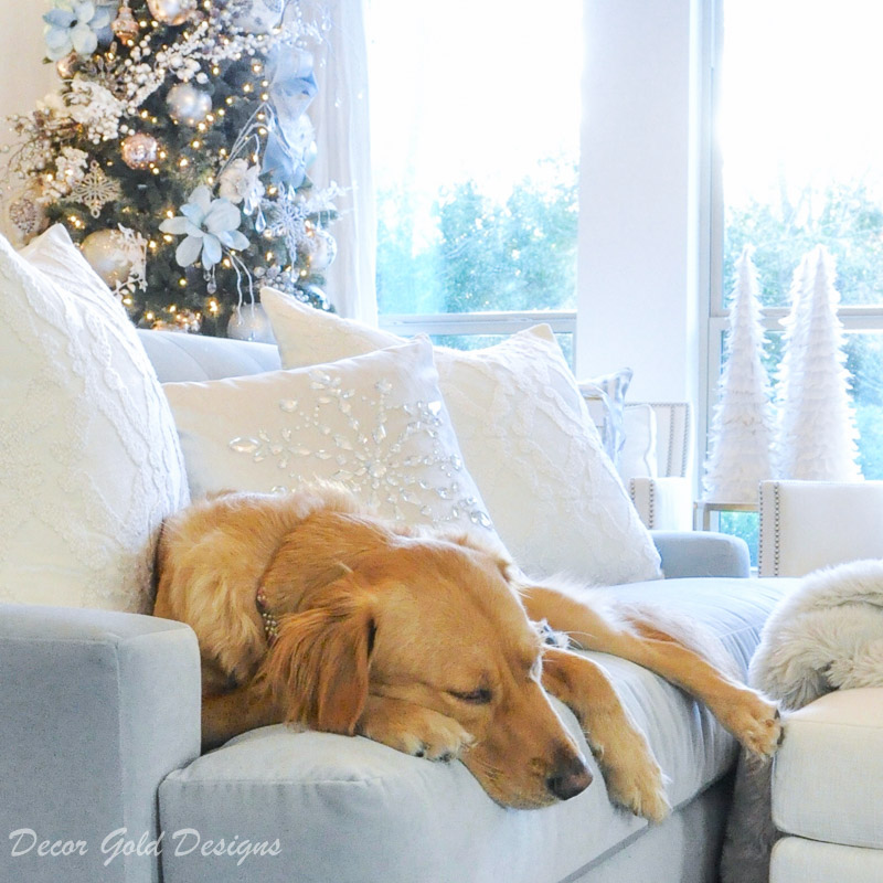 Elegant Christmas bedroom golden retriever sleeping