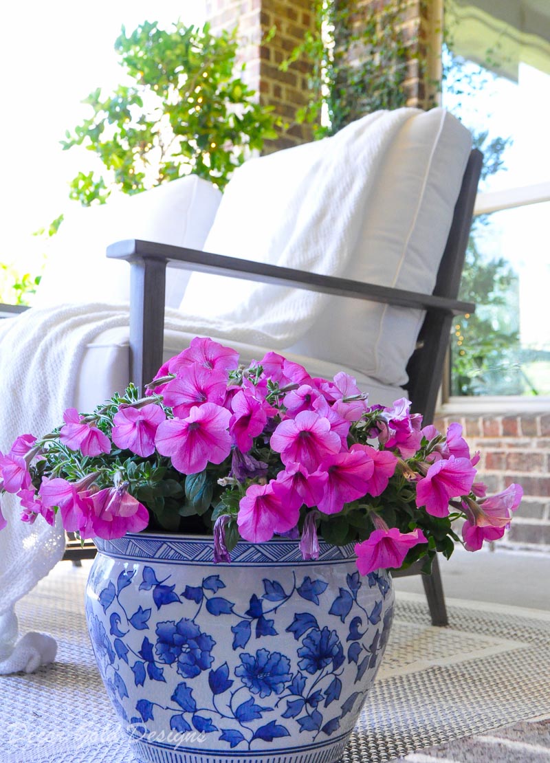 Spring ready patio blue white planter pink garden flowers