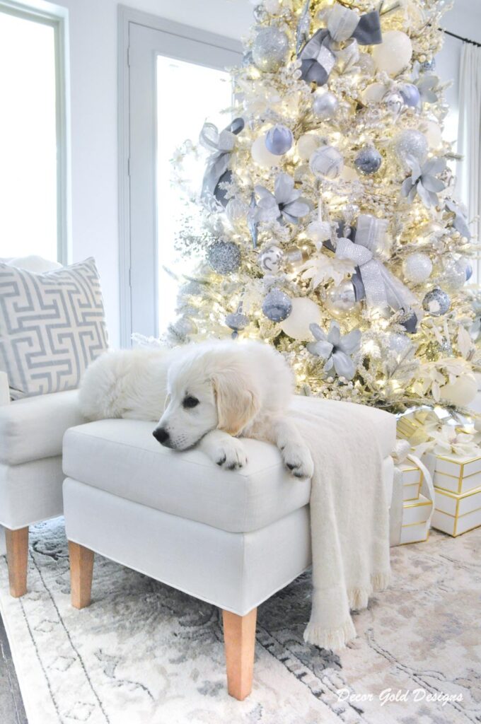 Christmas trees white retriever puppy