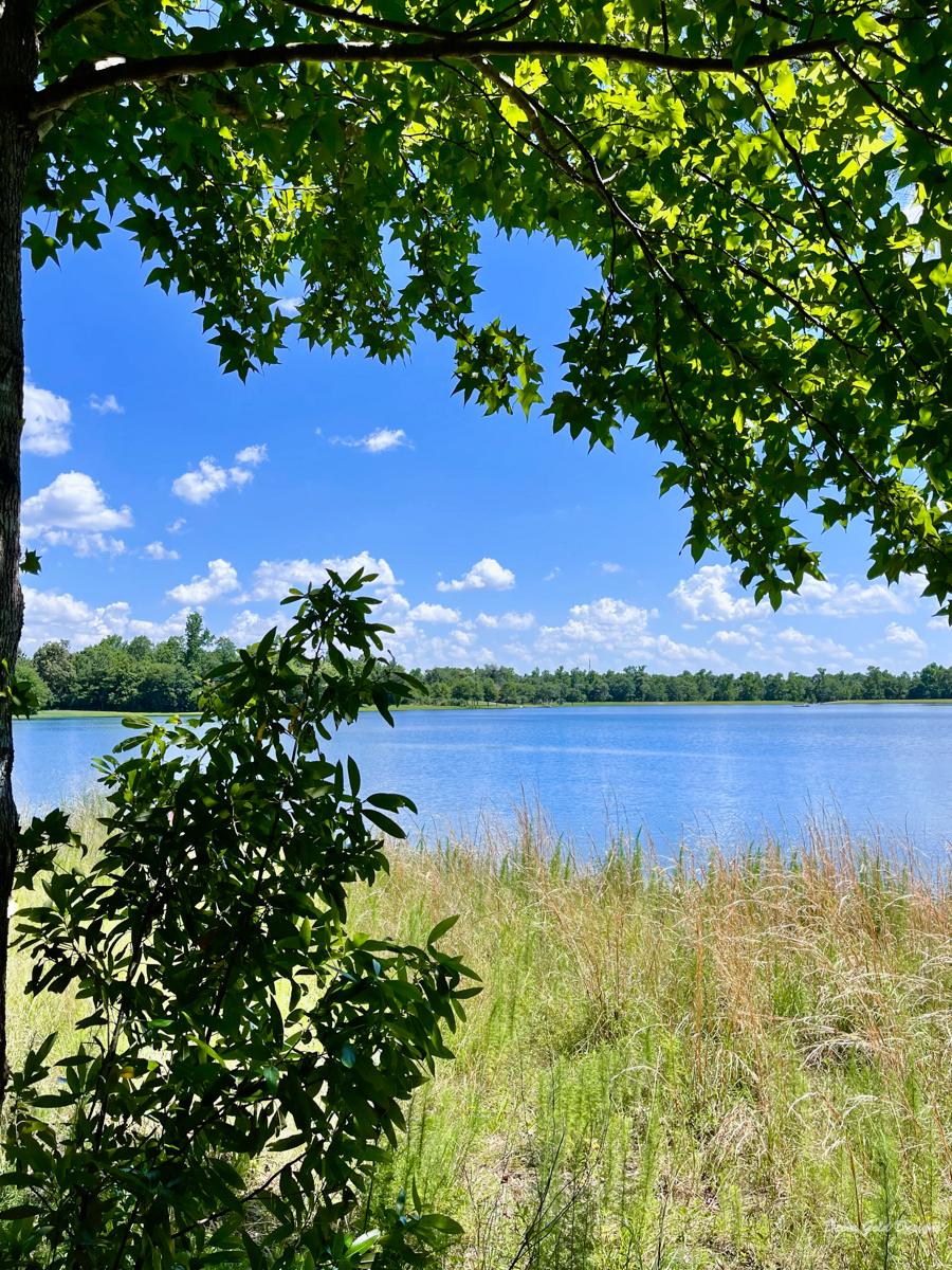 big changes new homesite lake view