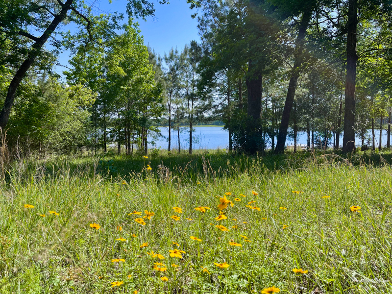 big changes new homesite lake view