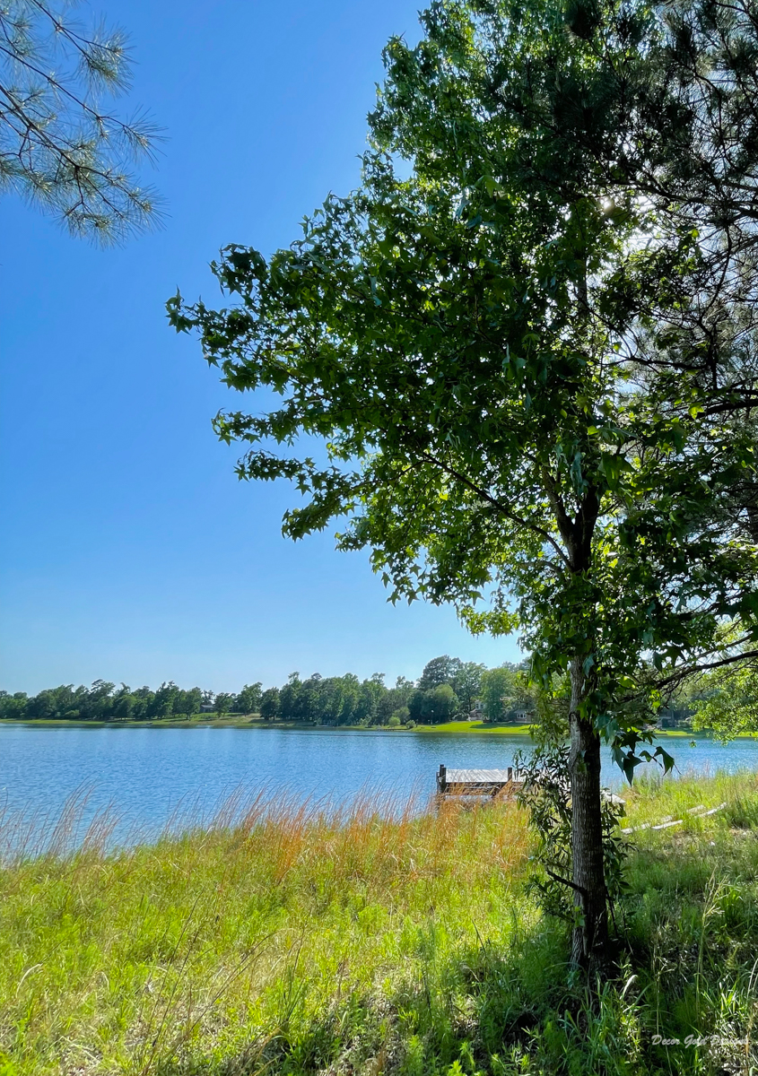 big changes new homesite lake view